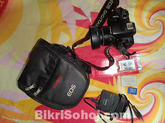 Canon 550d & 50mm prime lens